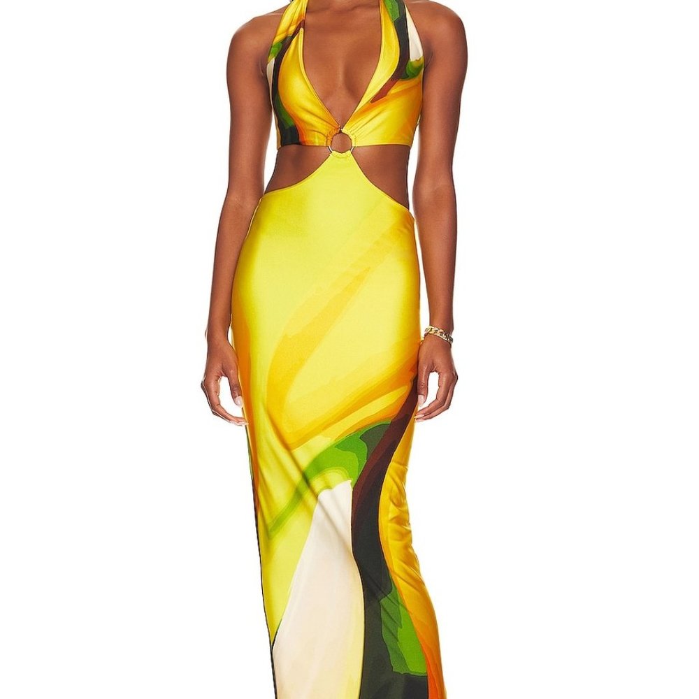 x REVOLVE Gaia Dress